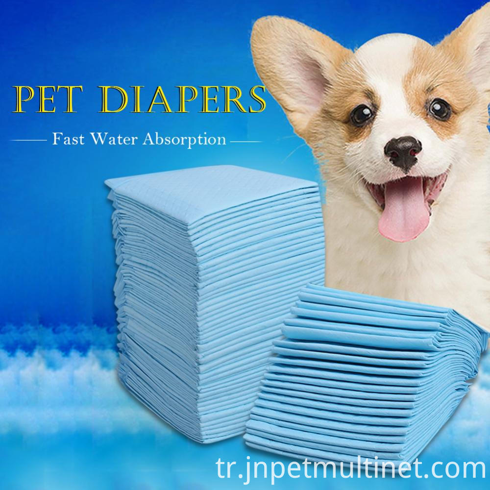 Pet Bebek Bezi 1 Pet Diaper 1